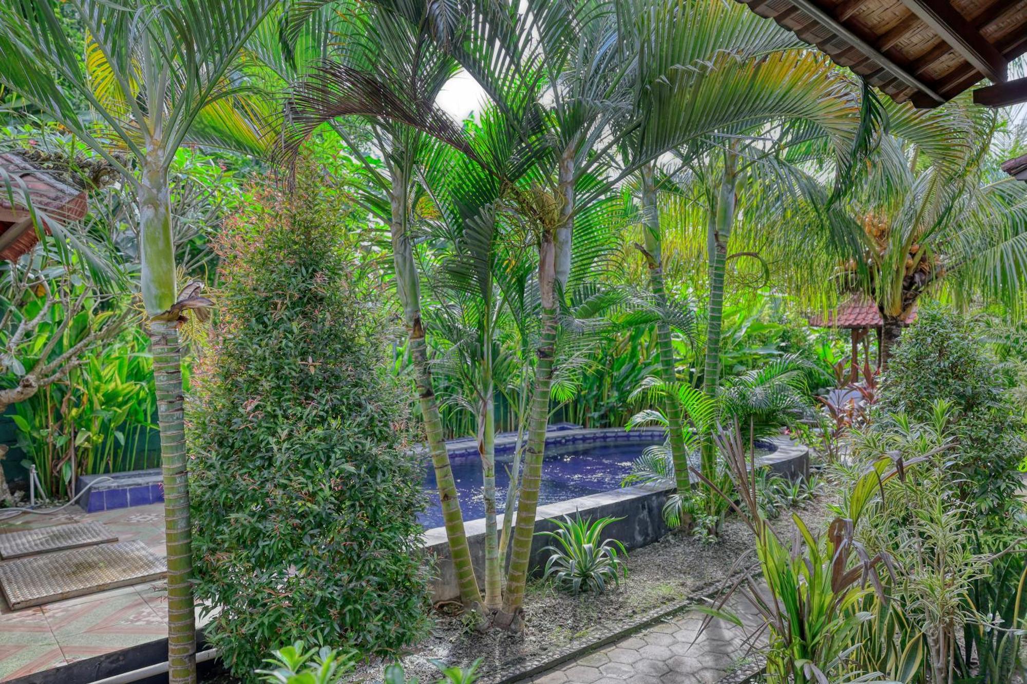 Asoka Bungalows Ped Szoba fotó